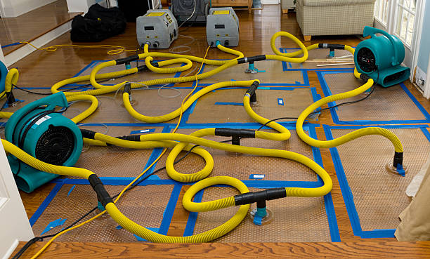 Professional Crawl Space Water Removal technician working in Preston, TX